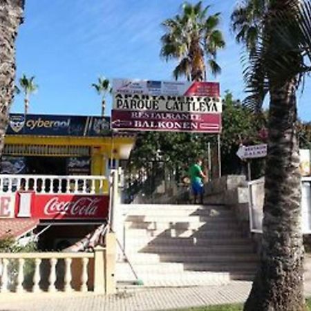 Parque Cattleya Tenerife بلايا ذي لاس أميريكاس المظهر الخارجي الصورة