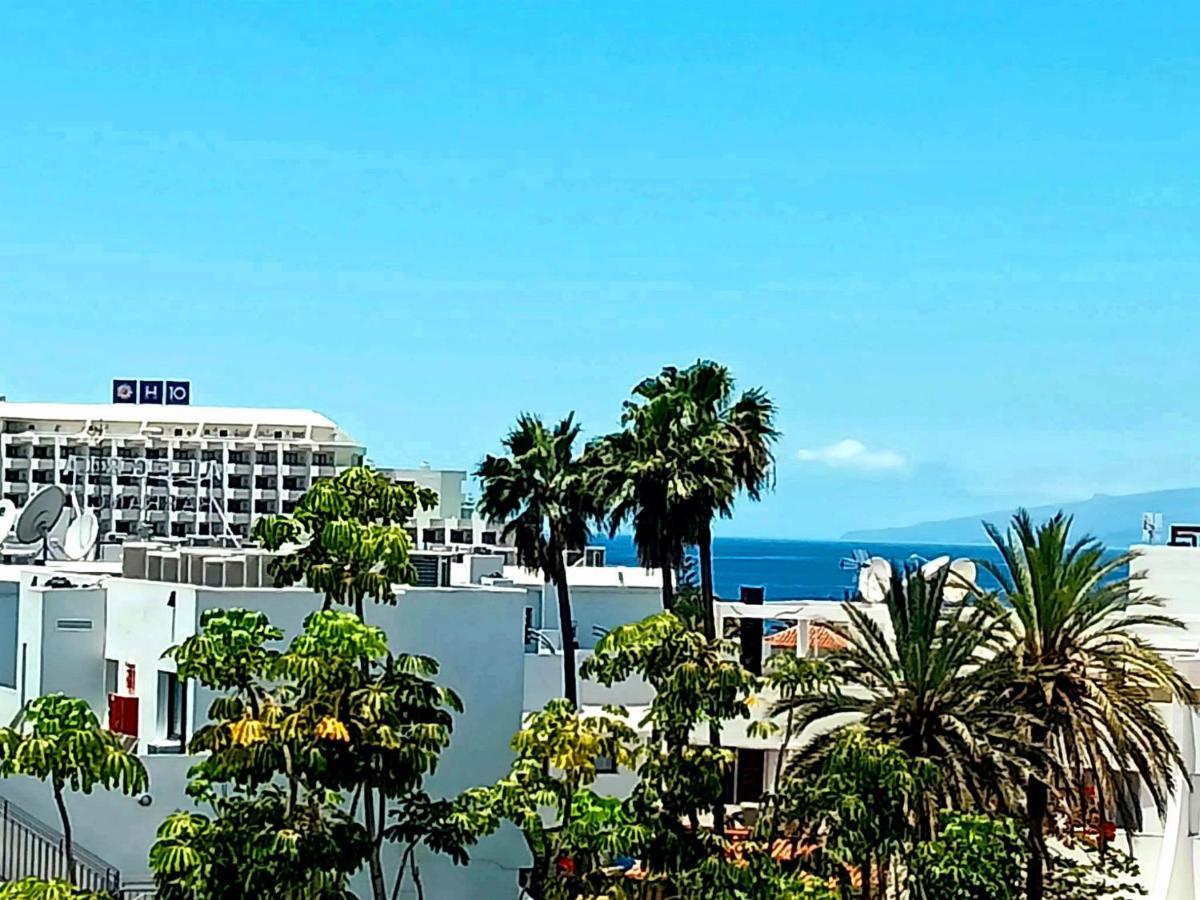 Parque Cattleya Tenerife بلايا ذي لاس أميريكاس المظهر الخارجي الصورة