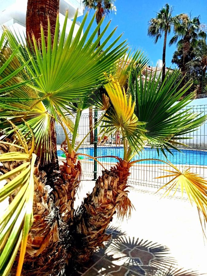 Parque Cattleya Tenerife بلايا ذي لاس أميريكاس المظهر الخارجي الصورة