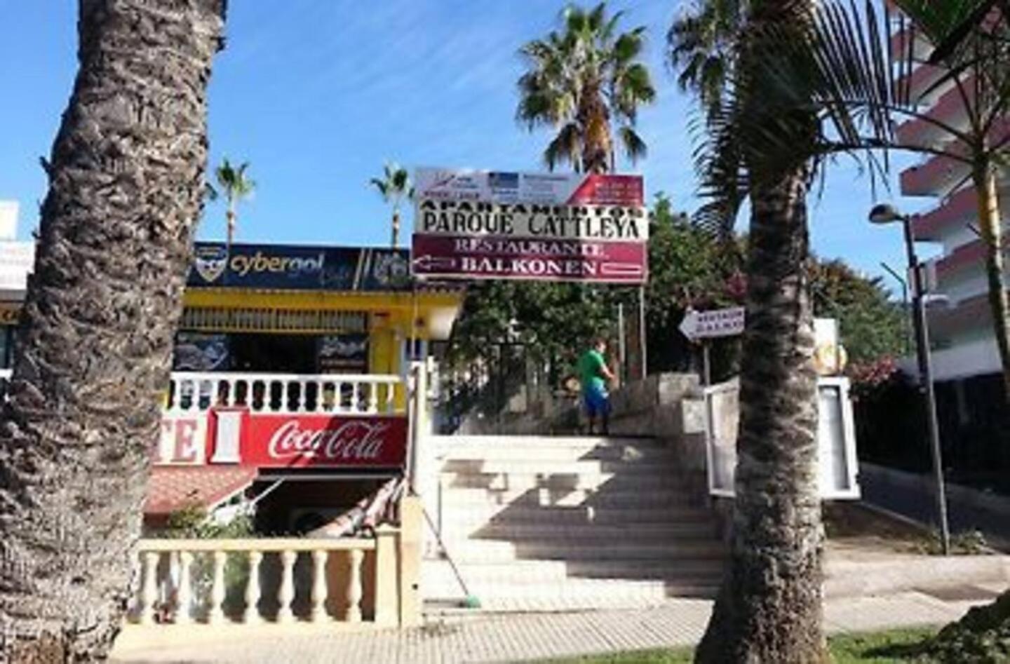 Parque Cattleya Tenerife بلايا ذي لاس أميريكاس المظهر الخارجي الصورة